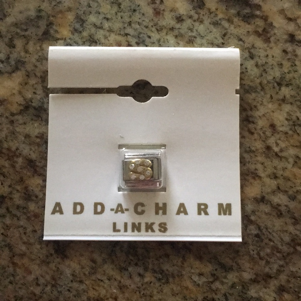 GOLD LETTER S CHARM